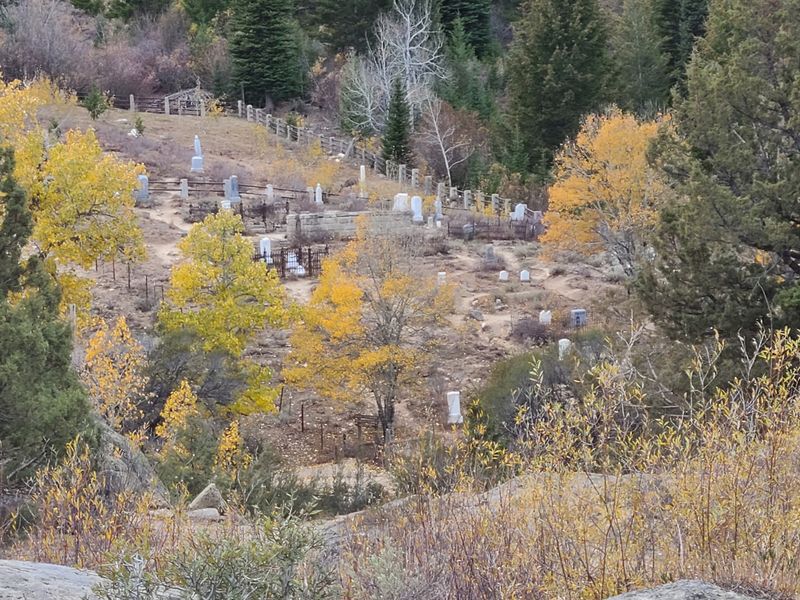 Quiet Rows Of The Pioneer Cemetery