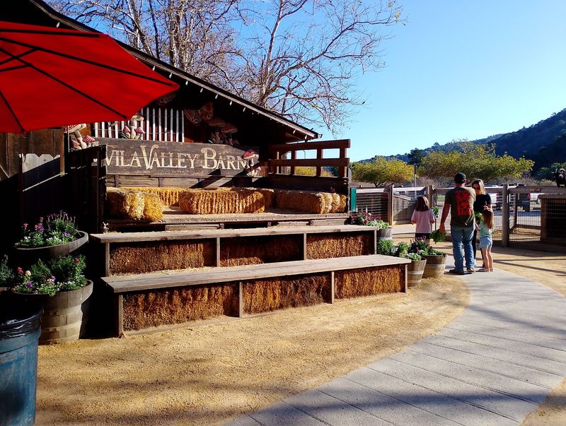 This California Apple Orchard Was Just Named Among The Best In America - Decor Hint Lunch, Ice Cream And The Nearby Coast