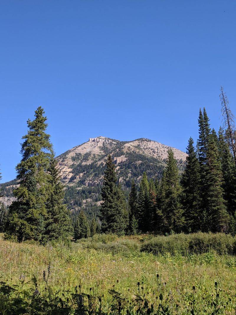 Targhee Creek Trailhead