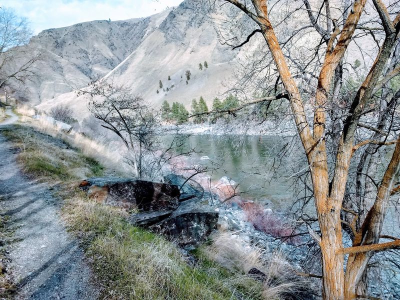 A Short Trail Down to the Riverbank