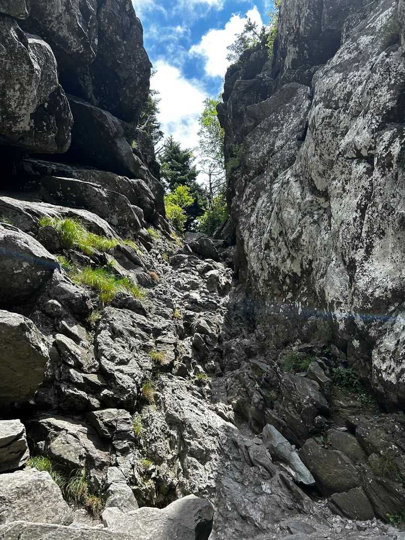Here Is Exactly What You Can Hike Right Now