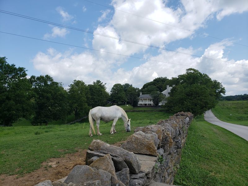 Trails That Keep Going At The Preserve