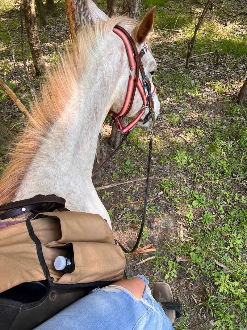 Follow More Than 10 Miles Of Wooded Trails On Horseback