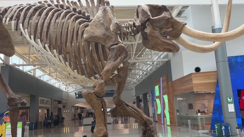 Dinosaurs Are Waiting By The Gates