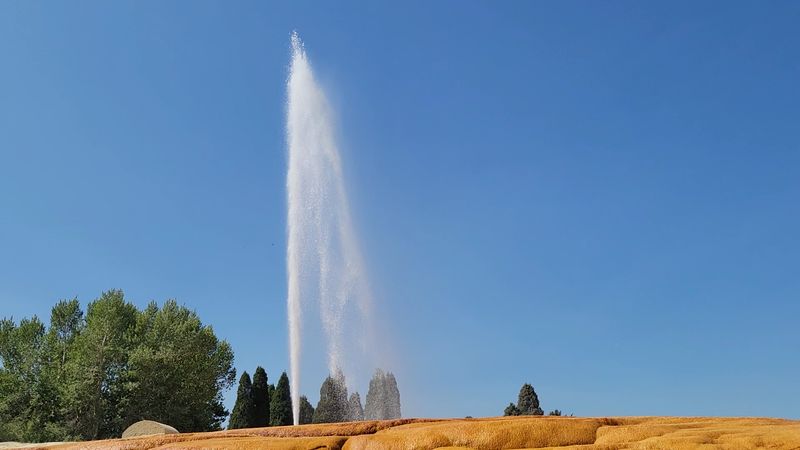 Seventy Feet Of Fizz