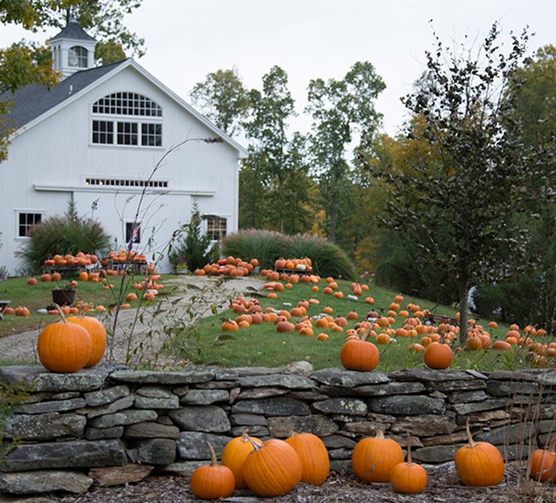 Devon Point Farm, North Stonington
