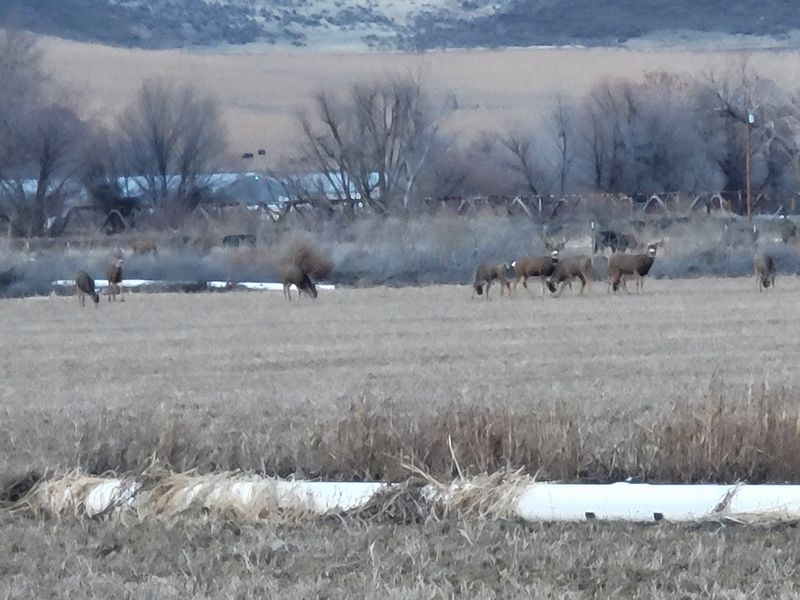Weiser River Trail