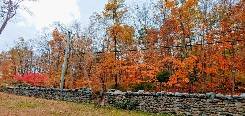 The Stone Wall And Iron Gate Set The Mood