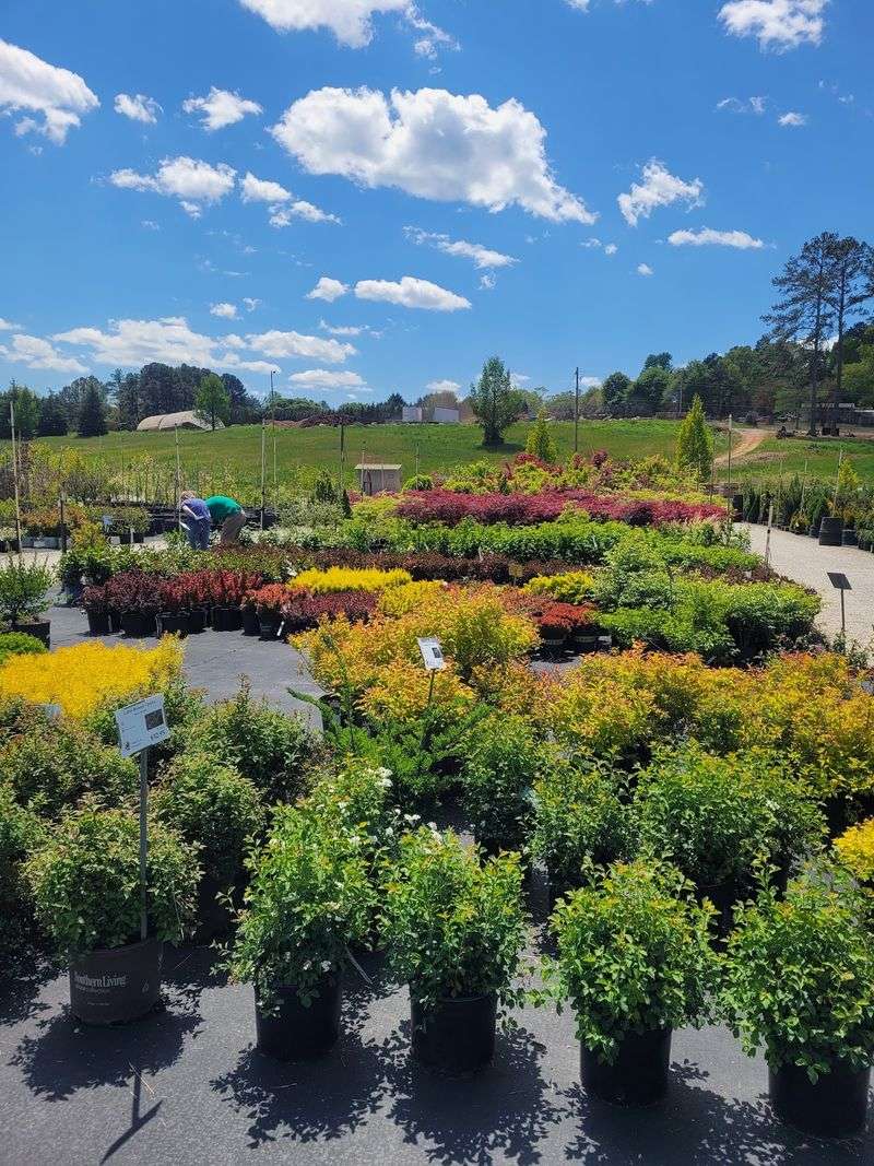 10 Underrated Towns In South Carolina Where Retirees Are Living Their Best Life - Decor Hint Seneca