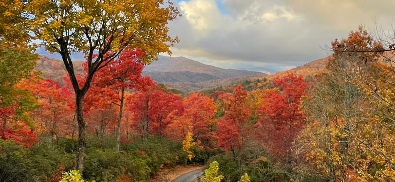 When The Mountains Turn Brilliant With Fall Color