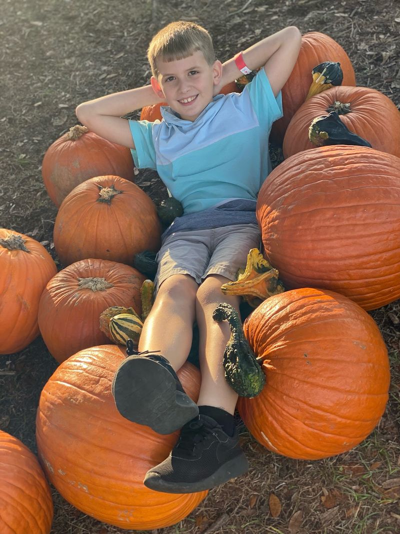 Pumpkins Under the Tree and Photos Everywhere