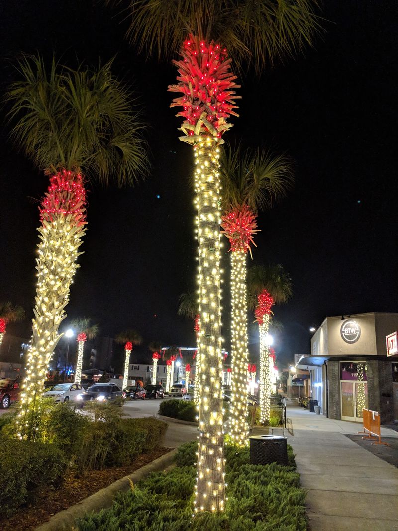 Christmas Lights Along A Slow Ride North