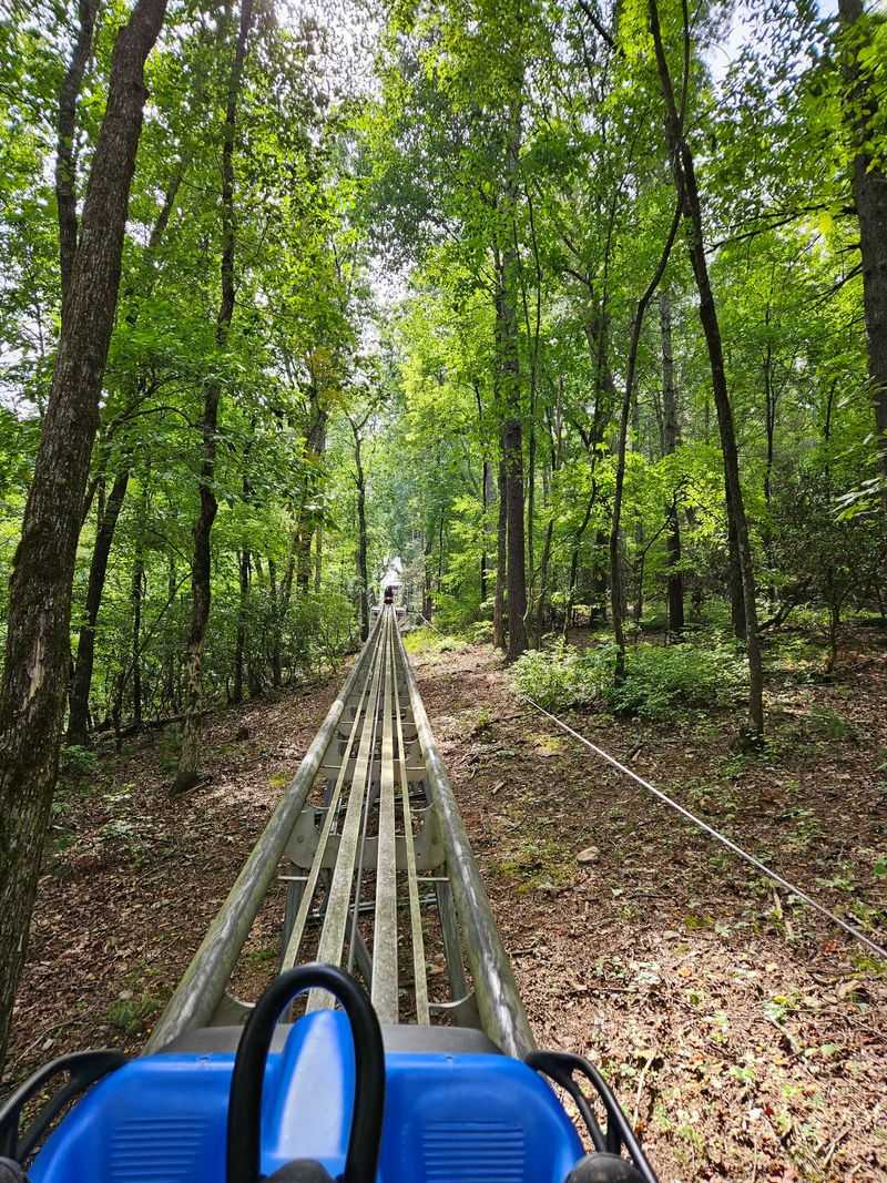 Bragging Rights Come Standard With Georgia's First Alpine Coaster