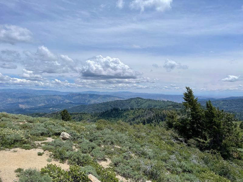 From Sagebrush To Pine Forest