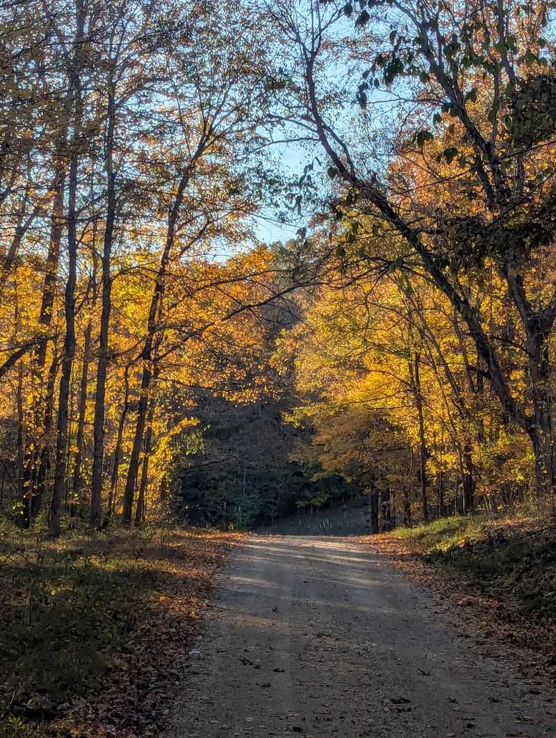 Woodlands Trace National Scenic Byway
