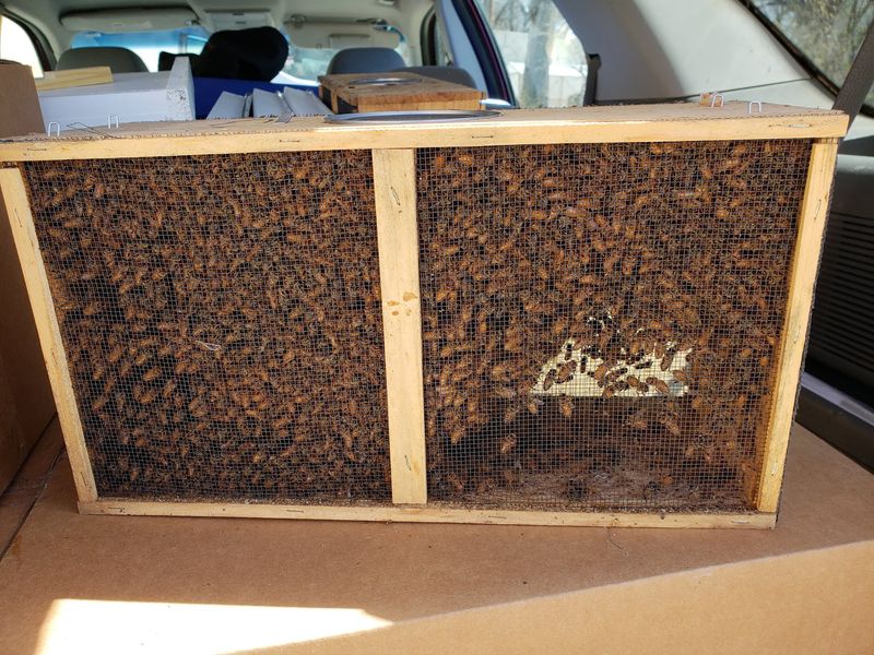 Valhalla Bee Farm
