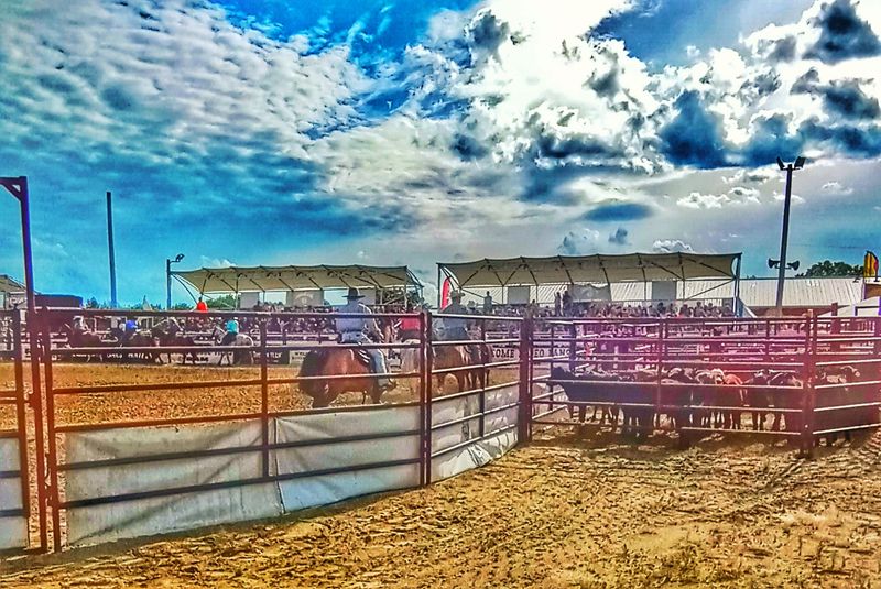 Rodeo Excitement In The Litchfield Hills