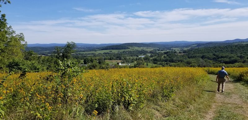 A Wealthy Virginia Philanthropist Donated 1,100 Acres Of Farmland And Turned It Into A Scenic Public Escape - Decor Hint Your Legs Have 22 Miles Of Options Here