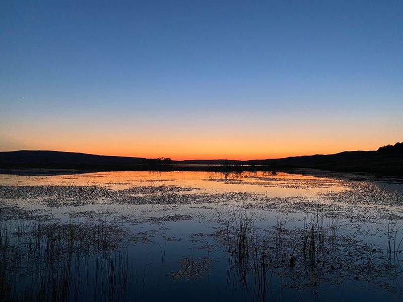The Night Sky Puts On A Show Worth Staying Up For
