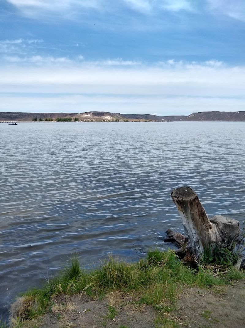 Rockhounds Hunt Blue Agate And Petrified Wood Along This Idaho Reservoir Shoreline When Water Drops In Fall - Decor Hint Campsites With Water Views And No Hookups