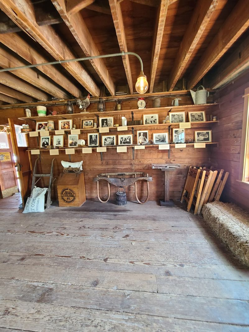 You Can Still Touch Timbers Pioneers Cut In 1846
