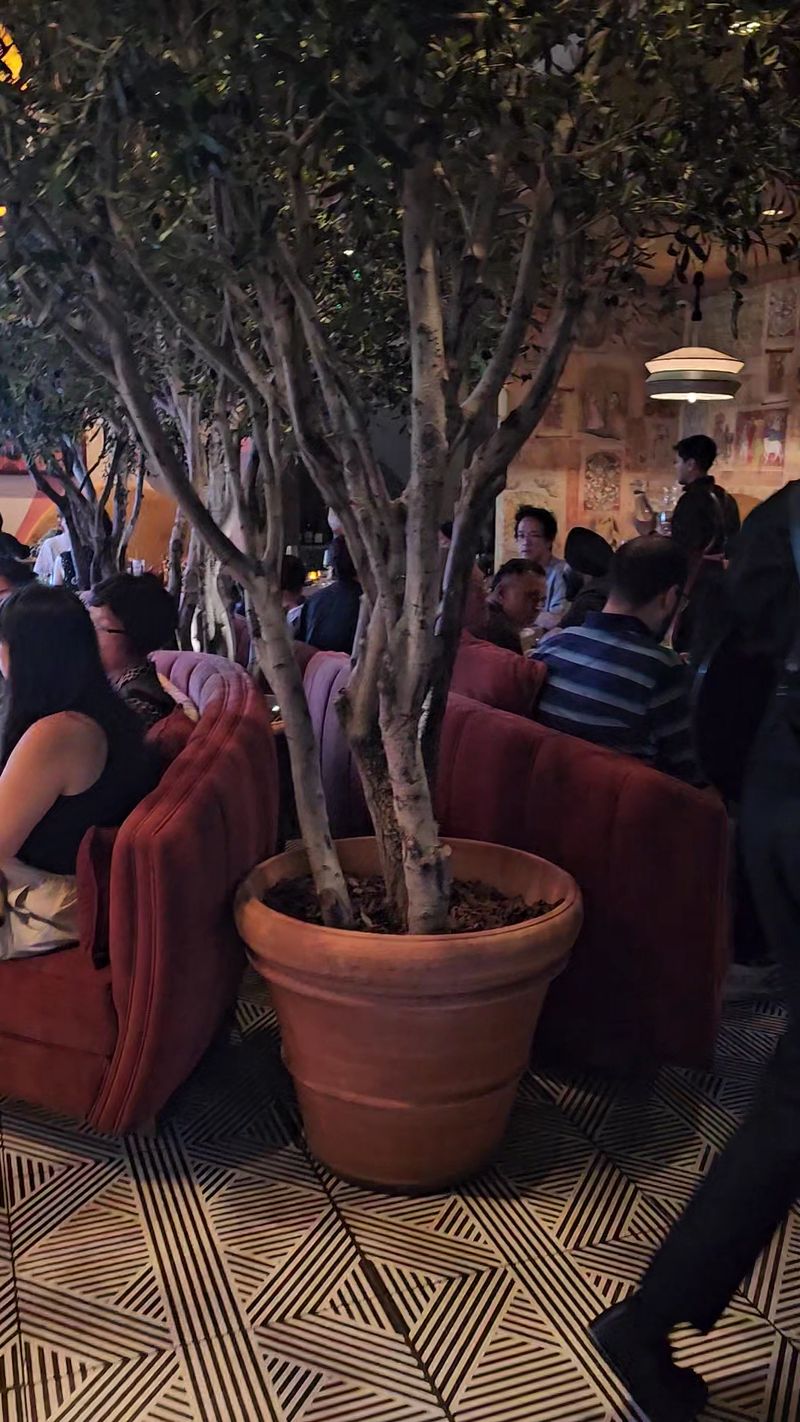 Three Olive Trees Grow Right Over The Dining Room