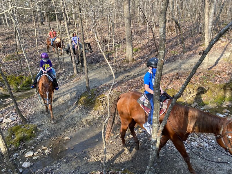 Let The Guides Match You With A Horse Suited To Your Experience