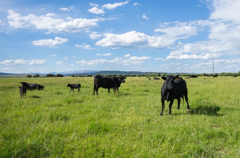 Riverbend Ranch