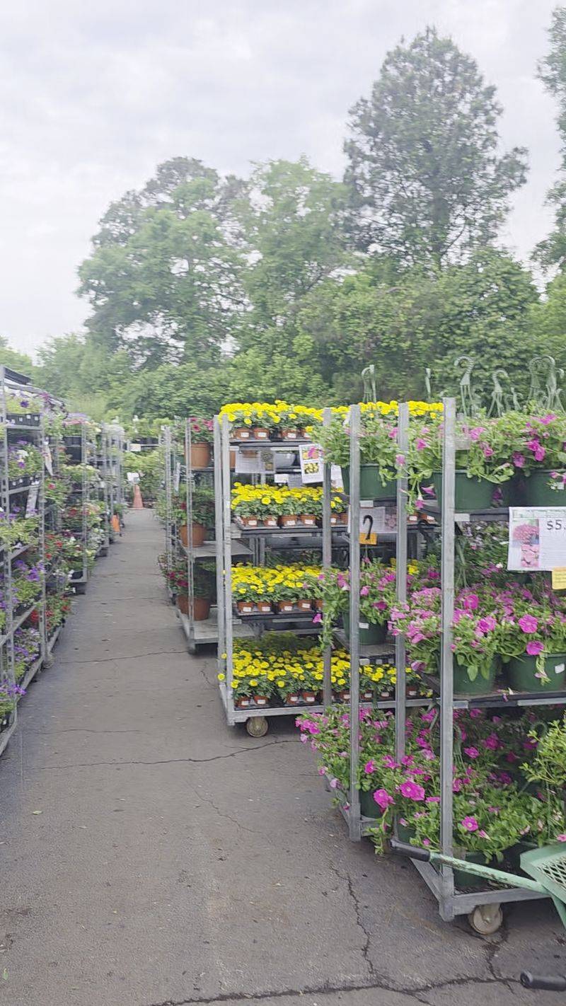 Row After Row Of Green Will Test Your Self-Control