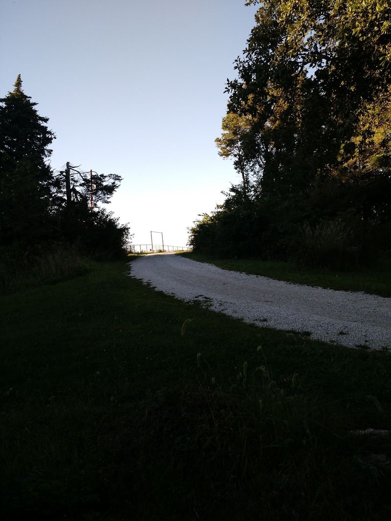 Know Before You Head Out To Branched Oak Road