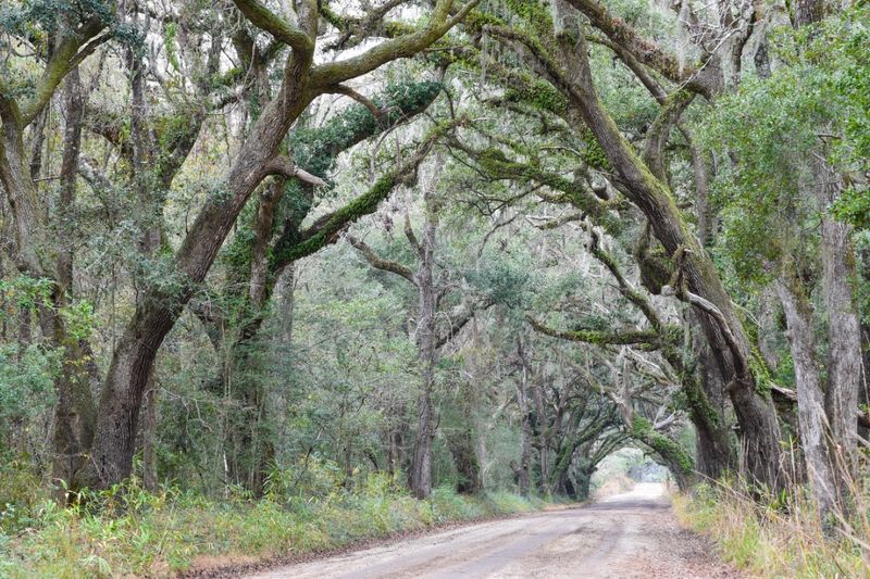 Edisto Island, Colleton County