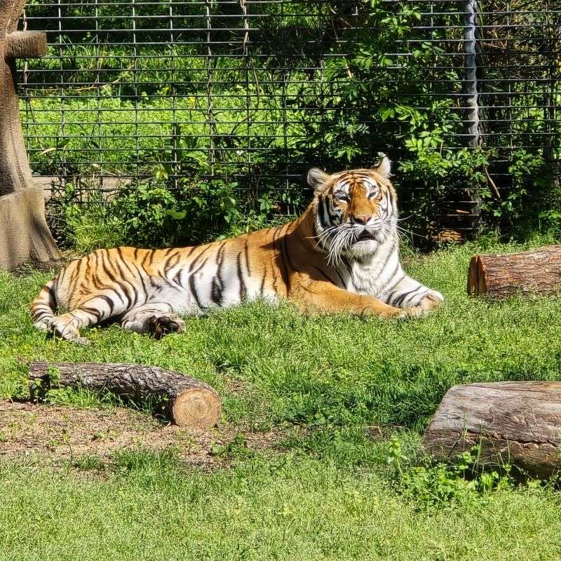 Louisiana Purchase Gardens & Zoo, Monroe