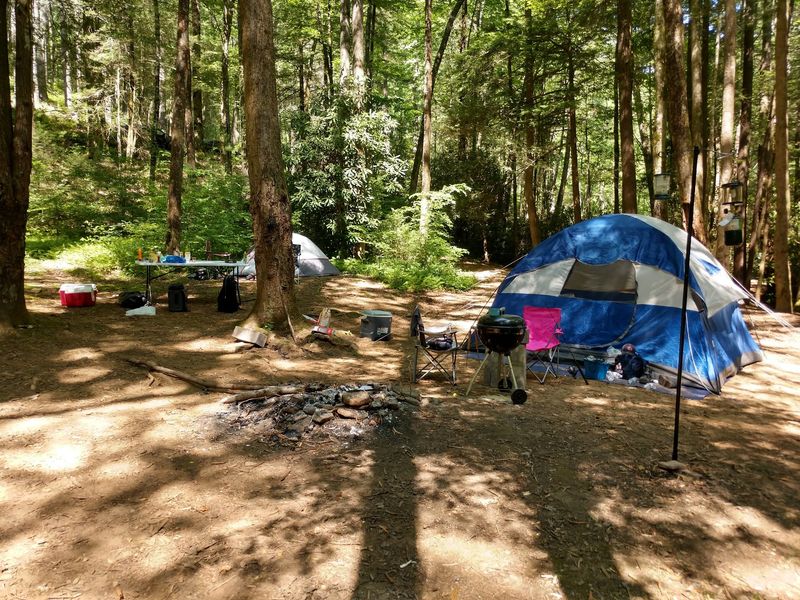 7 First-Come, First-Served Georgia Campgrounds Where You Can Pitch A Tent Without Booking Ahead - Decor Hint Jasus Creek Campground