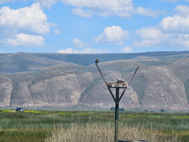 Bear Lake National Wildlife Refuge In Montpelier