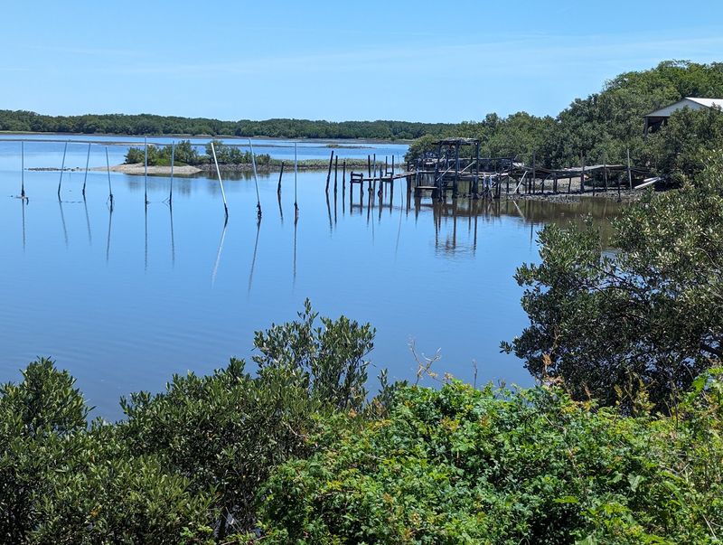 Cedar Key Seafood Festival