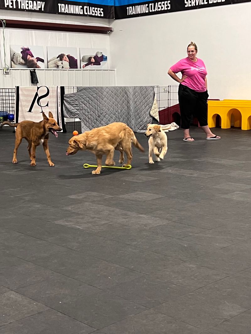 Training That Starts Before The Eyes Are Fully Open