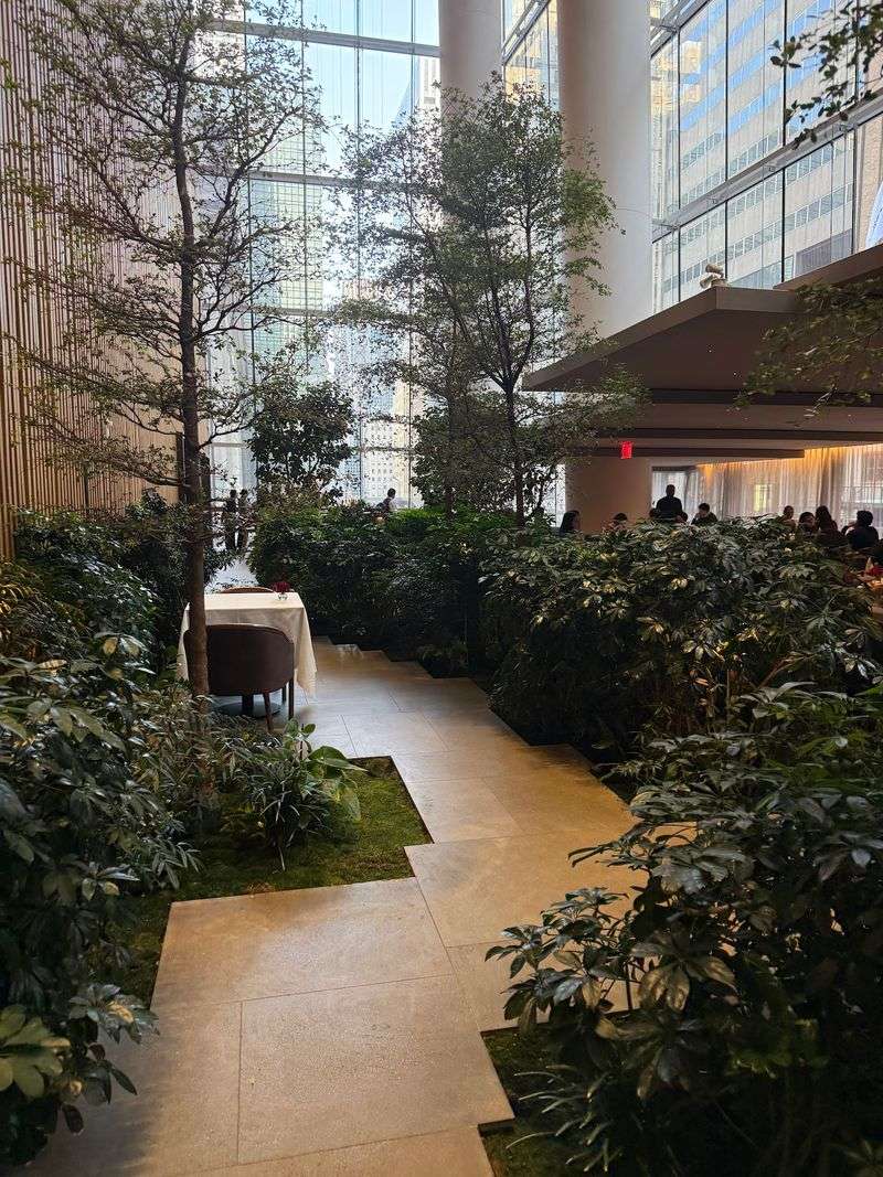 A Forest Grows Above One Of The Busiest Corners In Town