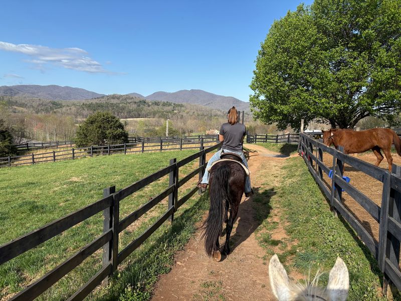 This Small Georgia Mountain Town Has A Golf Resort Surrounded By Stunning Scenery - Decor Hint Trail Rides Through Forests And Open Fields