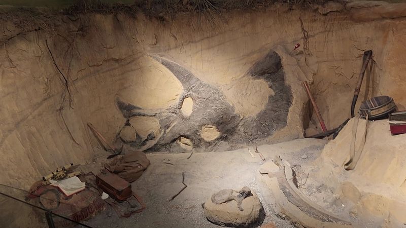 Rocks That Deserve A Closer Look Than You'd Expect