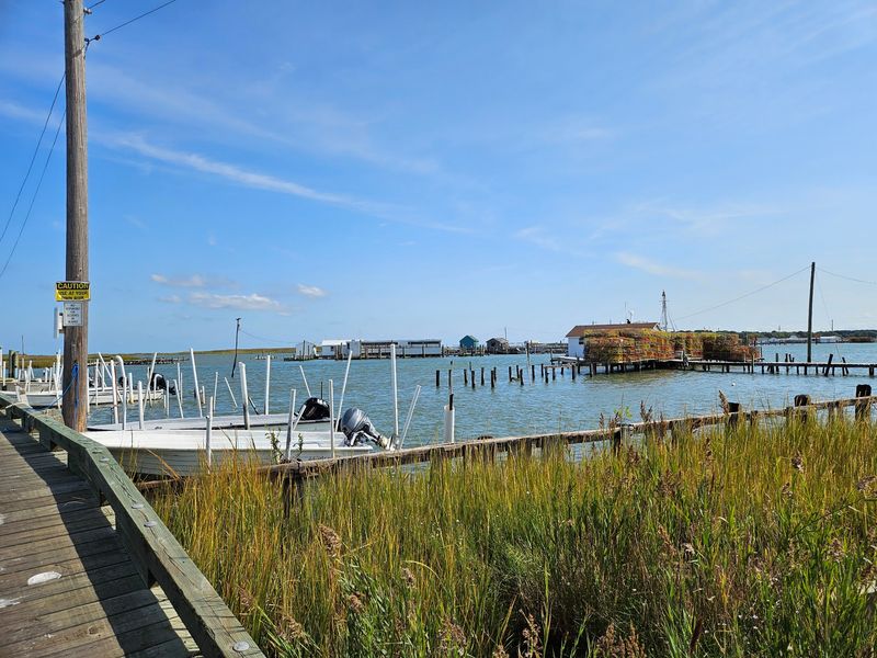Tangier Island