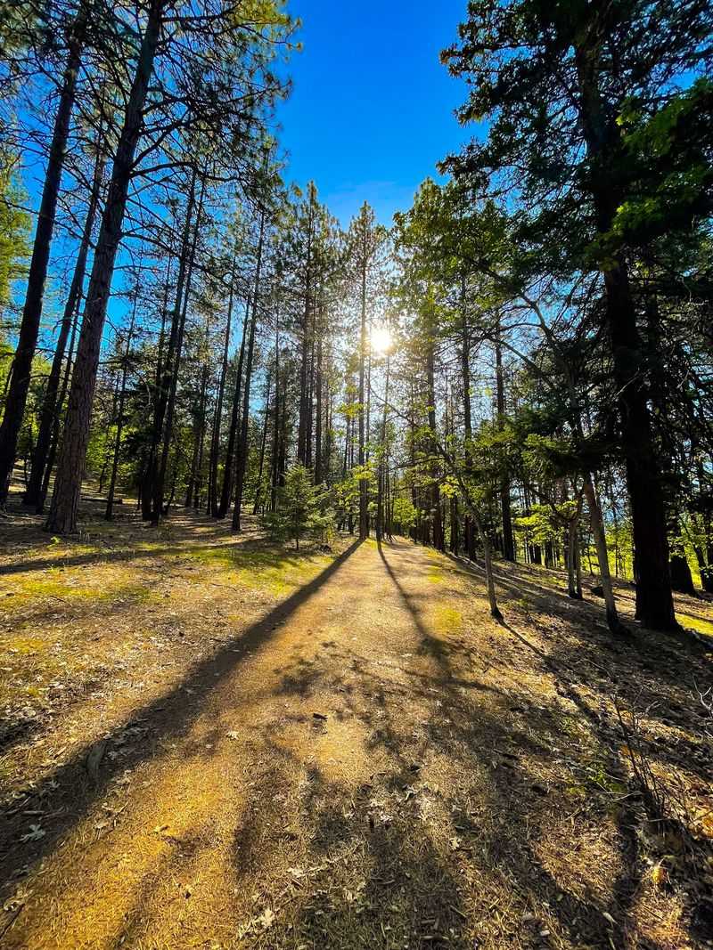 Greenhorn Park Offers A Break From Downtown