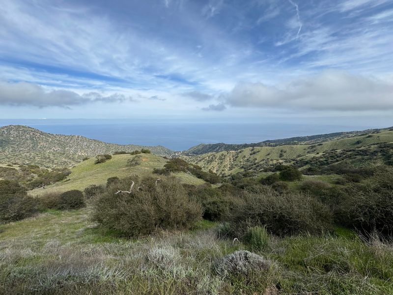 12 Things Not To Do On Catalina Island In California If You Want To Avoid Rookie Mistakes - Decor Hint Don't Treat Avalon Like It Is The Entire Island