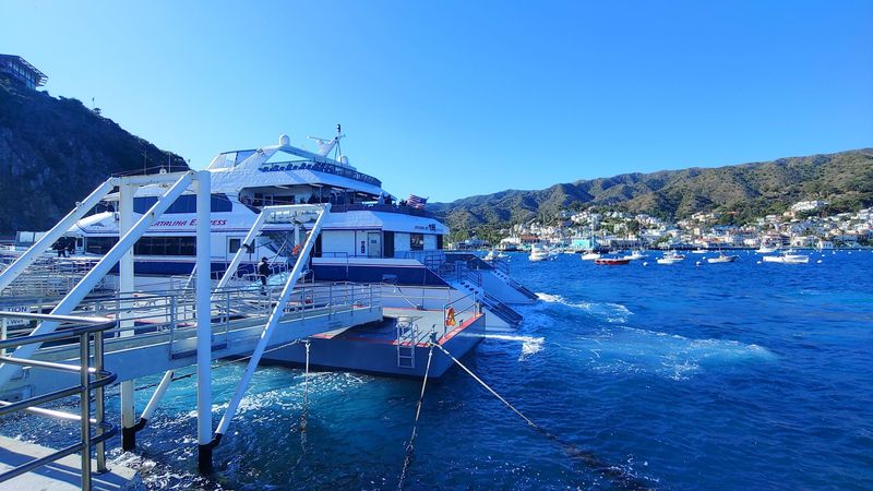 12 Things Not To Do On Catalina Island In California If You Want To Avoid Rookie Mistakes - Decor Hint Don't Pack Like The Ferry Has Unlimited Luggage Space