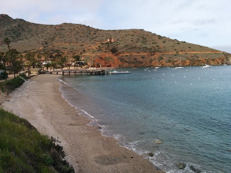12 Things Not To Do On Catalina Island In California If You Want To Avoid Rookie Mistakes - Decor Hint Don't Plan A Tight Return Schedule Without Leaving Ferry Buffer Time