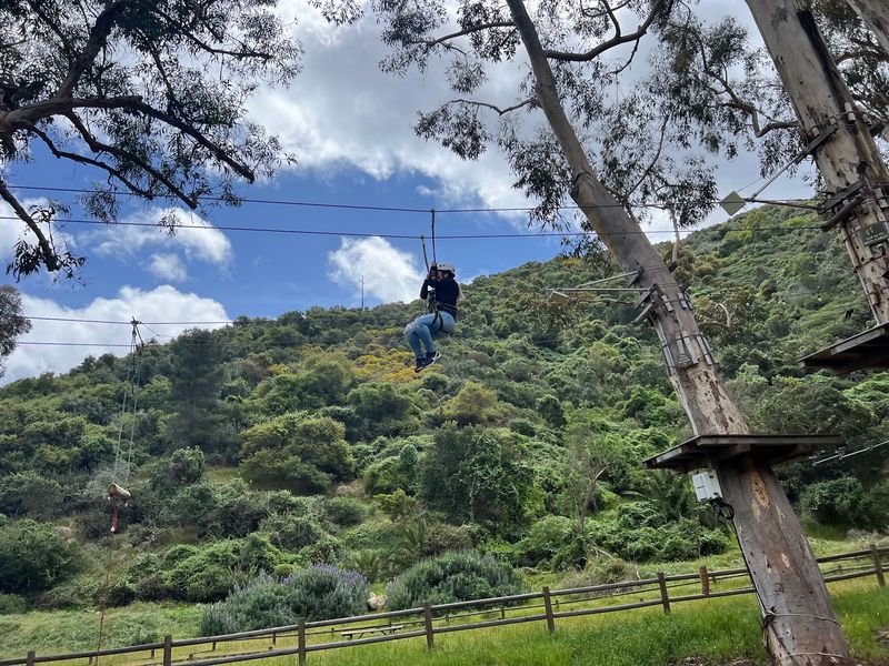 12 Things Not To Do On Catalina Island In California If You Want To Avoid Rookie Mistakes - Decor Hint Don't Leave Your Best Activities Until The Final Few Hours