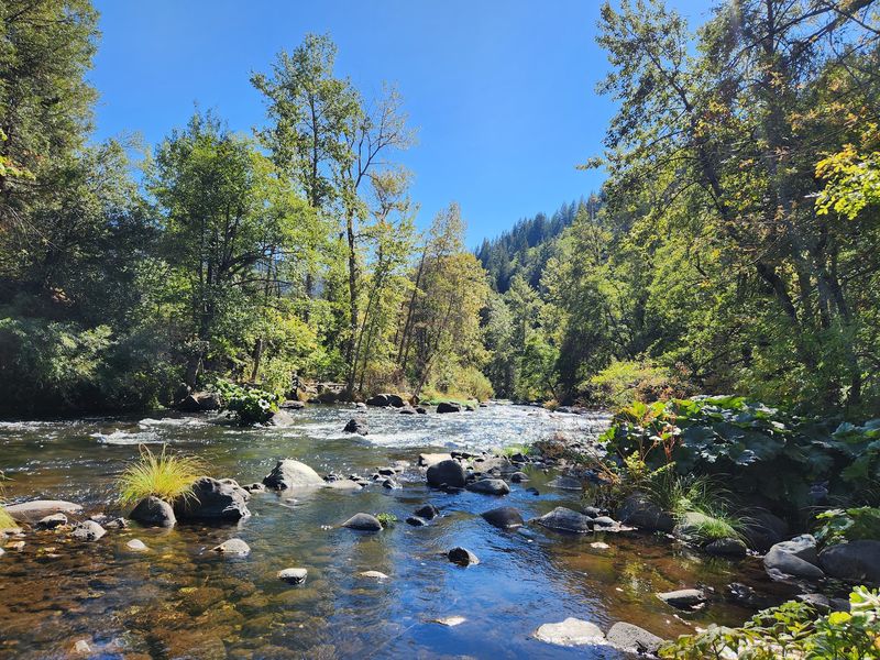 Dunsmuir