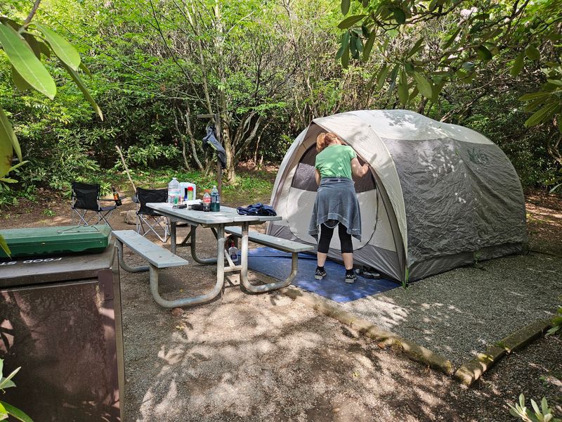 Mount Pisgah Campground