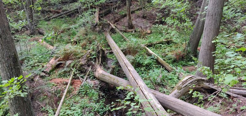 Idler's Rest Nature Preserve