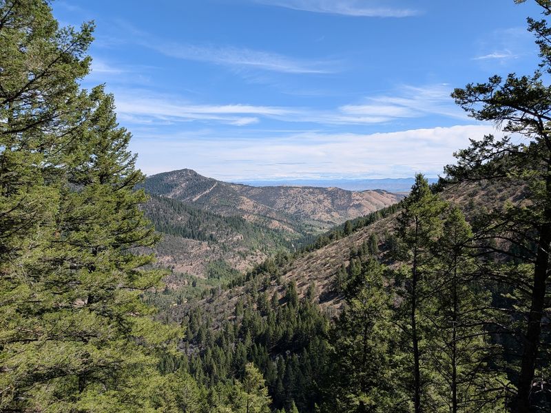 Hundreds Of Bats Pour Out Of Idaho's Minnetonka Cave Region Each Dusk - Decor Hint Finding The Way Up St. Charles Canyon