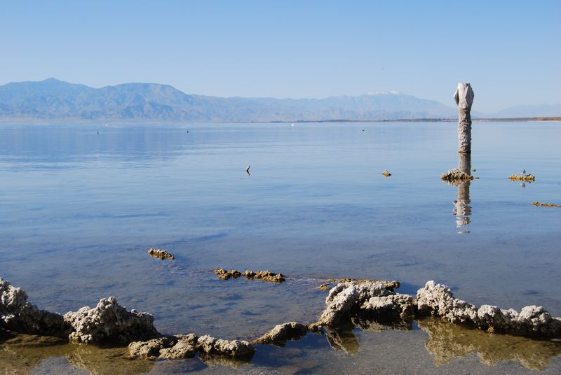 Hundreds Of Bird Species Still Count On This Salty Pit Stop